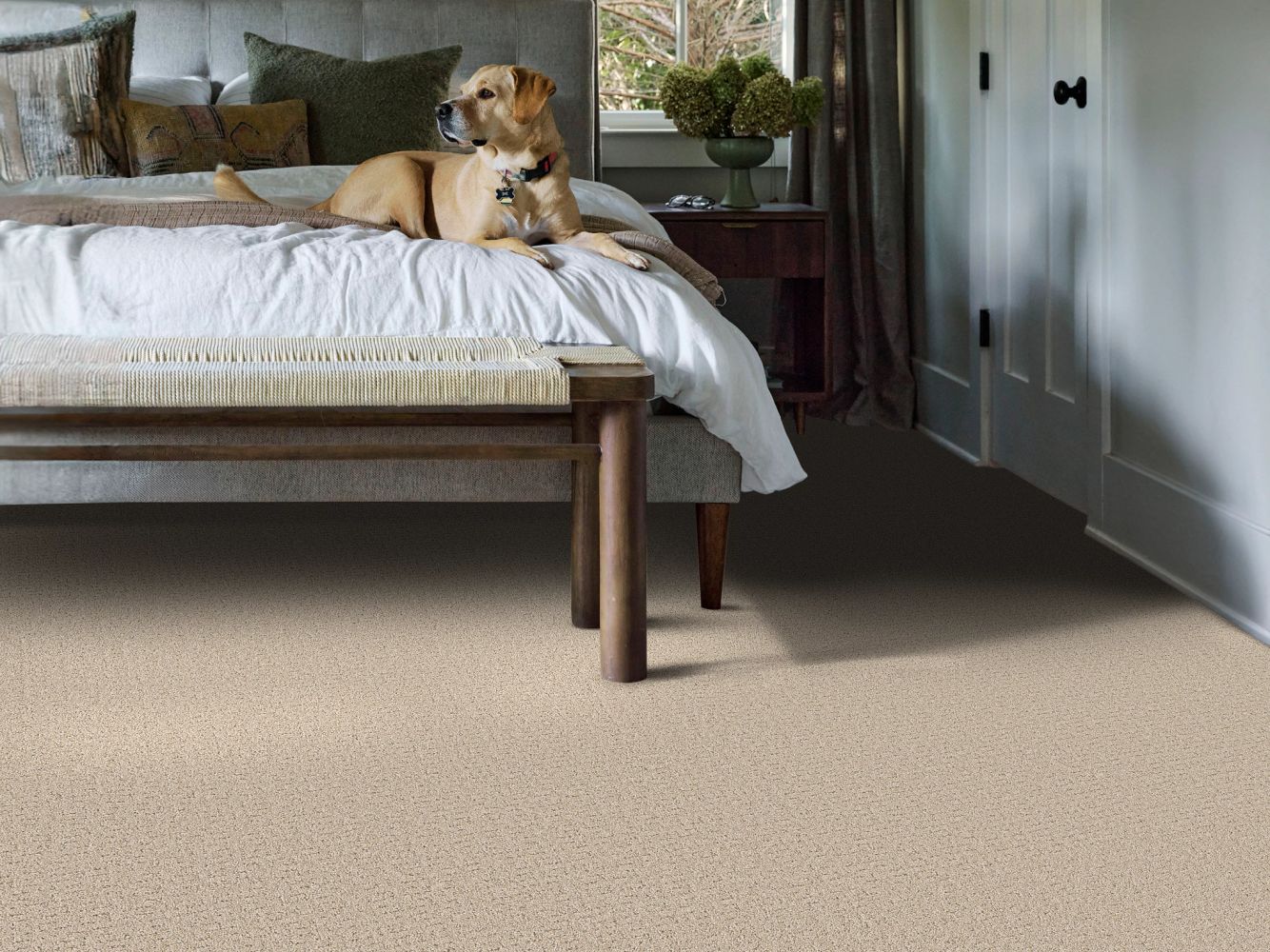 Shaw Floors Pet Perfect Plus Secret Journey Cafe Latte 00122_5E875