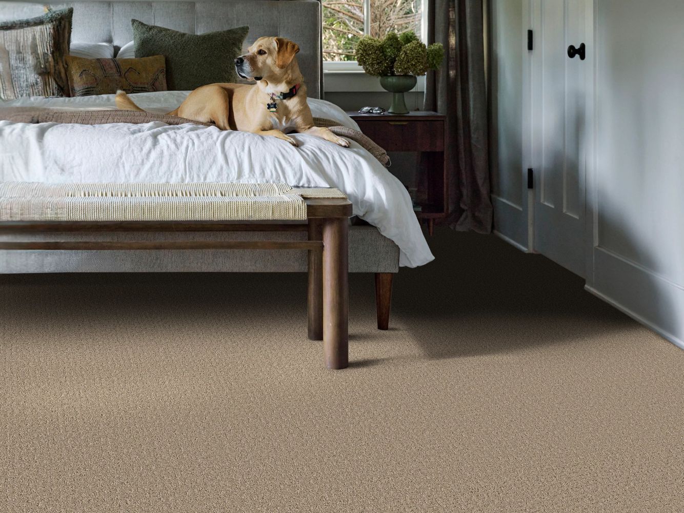 Shaw Floors Pet Perfect Plus Secret Journey Stonecrest 00123_5E875