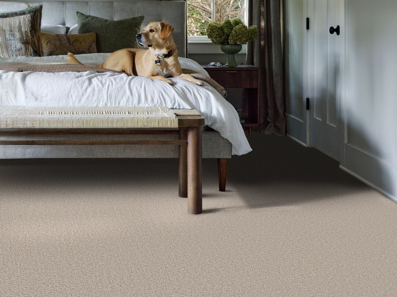 Shaw Floors Pet Perfect Plus Secret Journey Chic Taupe 00124_5E875
