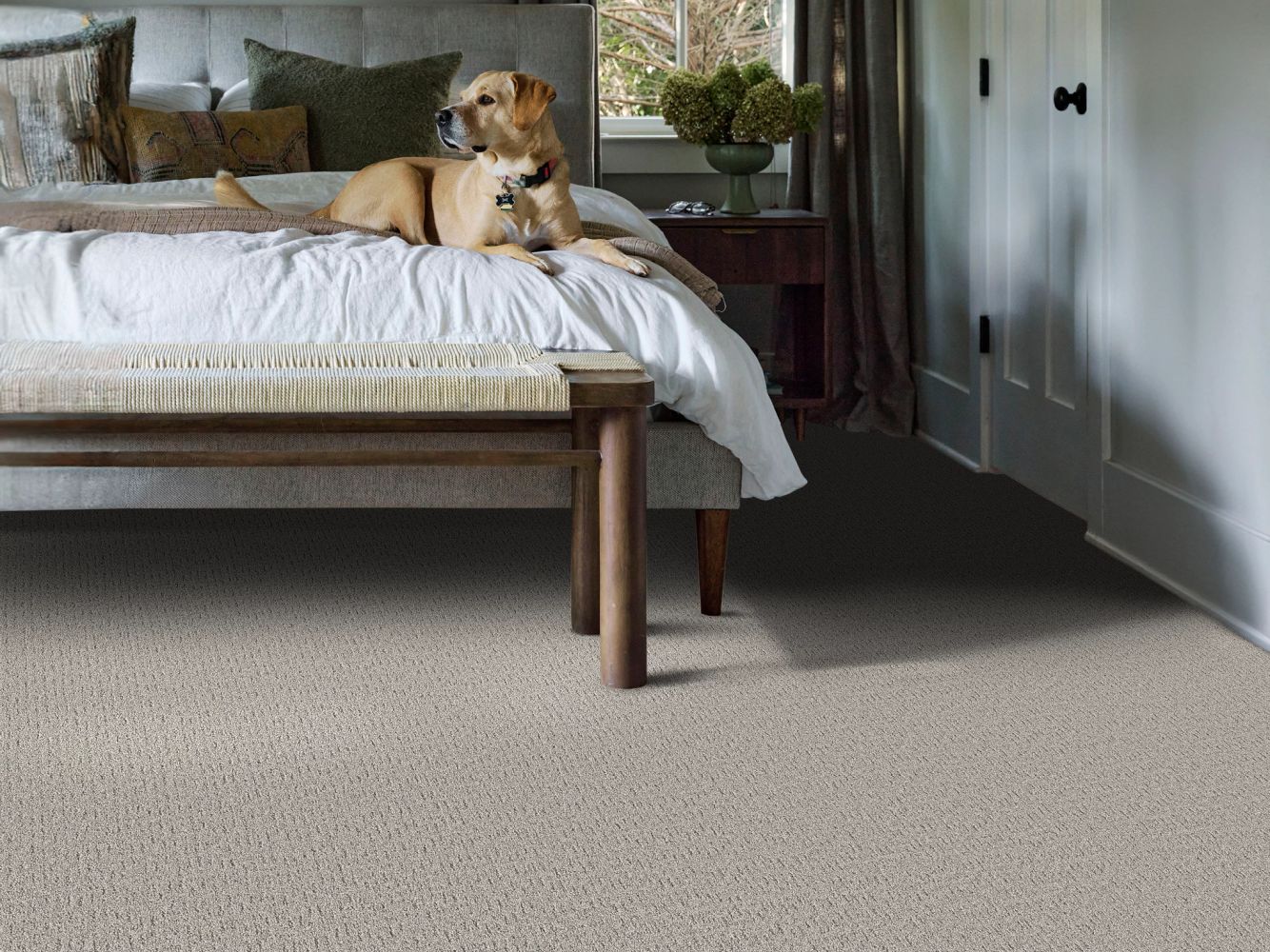 Shaw Floors Pet Perfect Plus Secret Journey Four Winds 00520_5E875
