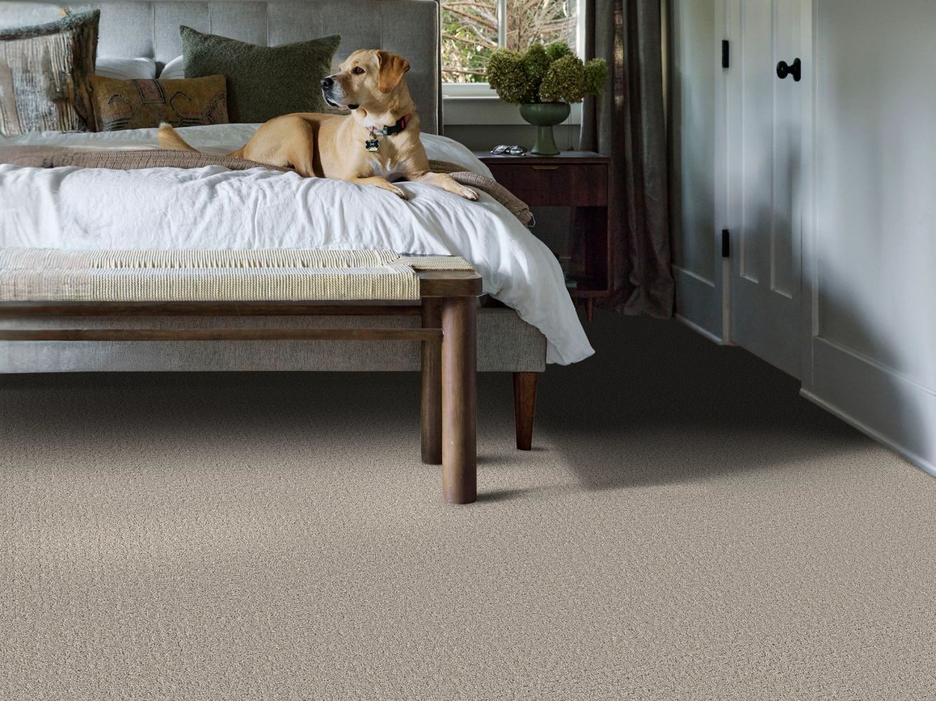 Shaw Floors Pet Perfect Plus Secret Journey Marble 00523_5E875