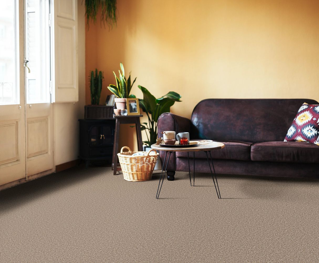 Shaw Floors Believe Slate 00732_5E893