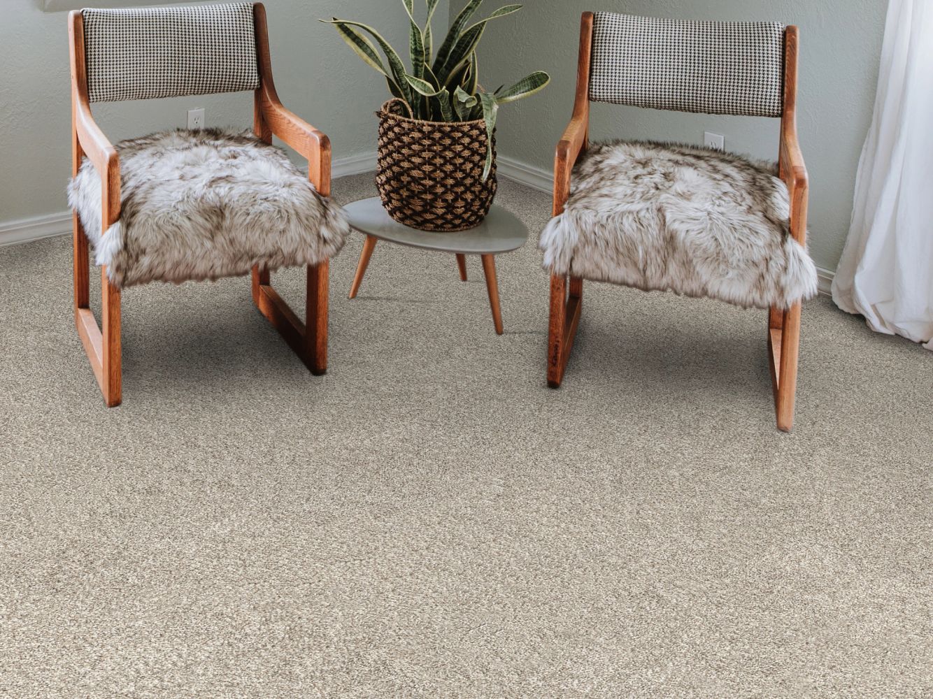 Shaw Floors PET PERFECT PLUS Blended Touch I Raw Silk 00134_5E885