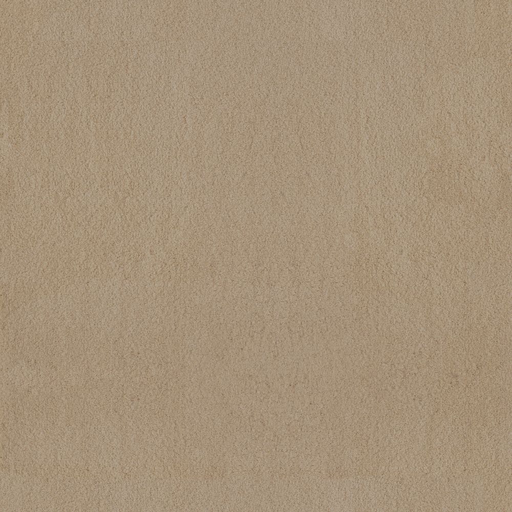 Shop Anderson Tuftex LUXE FEEL II Gentle Doe 00128_ZZ322 Carpet | Derailed  Commodity Flooring & Furniture