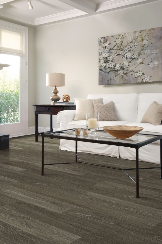 Shaw Floors Resilient Residential All American Independence 00564_0799V