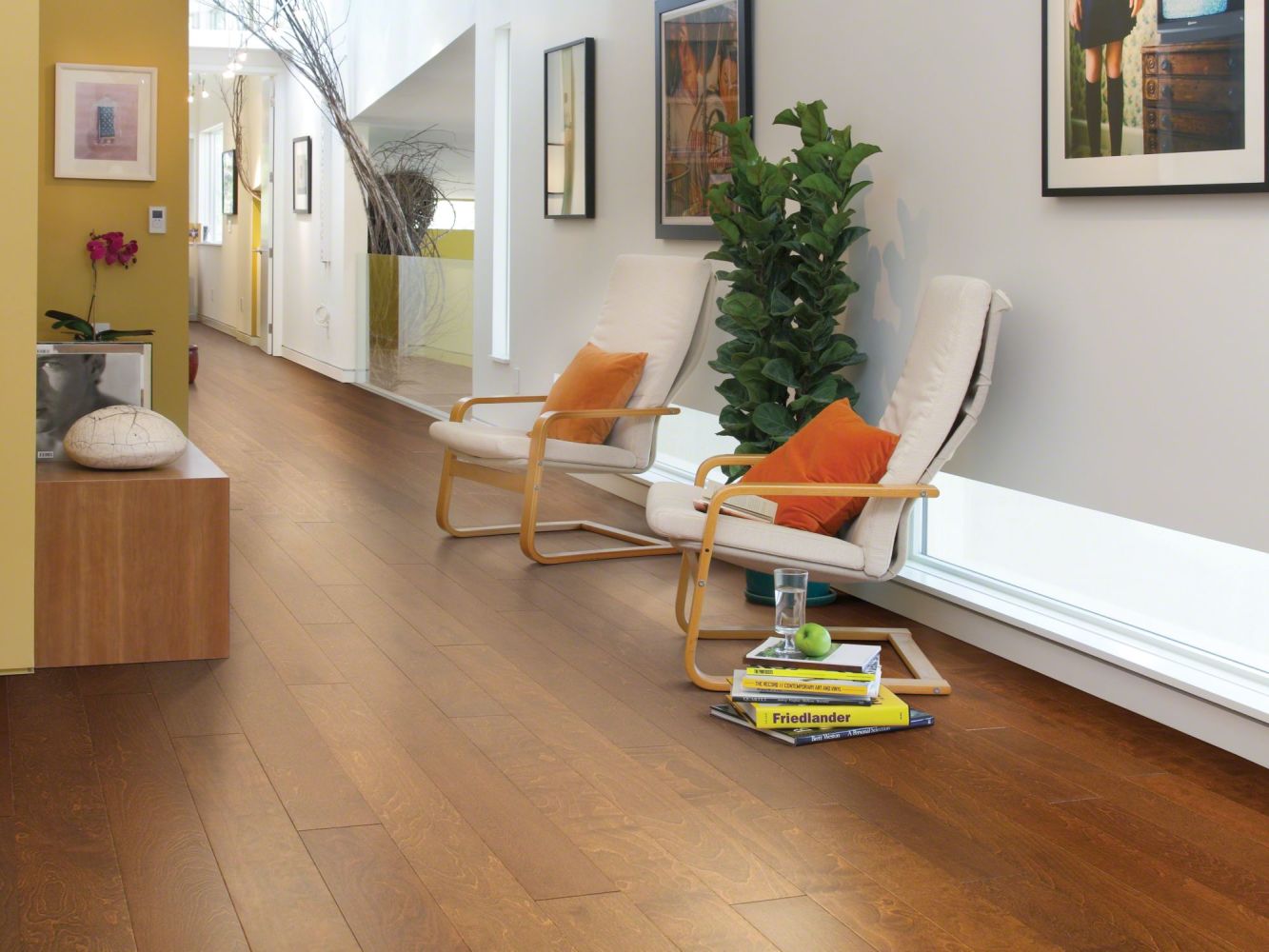 Shaw Floors SFA Tallahassee Surfside 00460_SA426