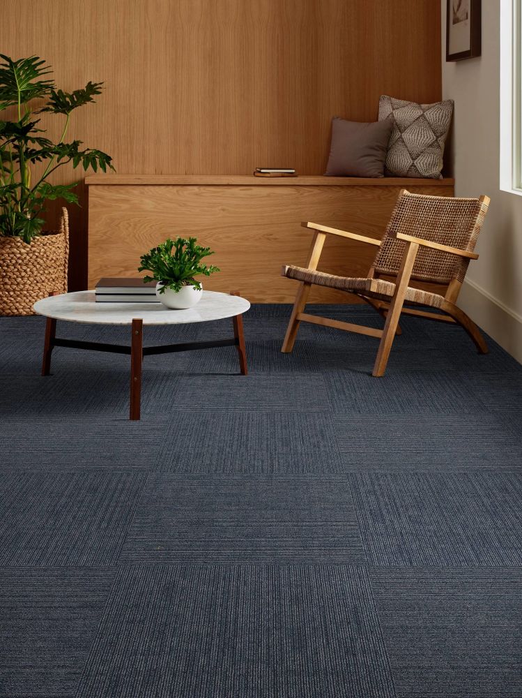 Shaw Floors Special Project Commercial Sp797 Innate 00400_SP797