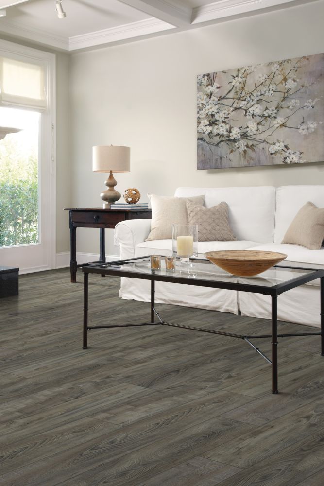 Shaw Floors Resilient Residential Pantheon HD Plus Temporale 00578_2001V