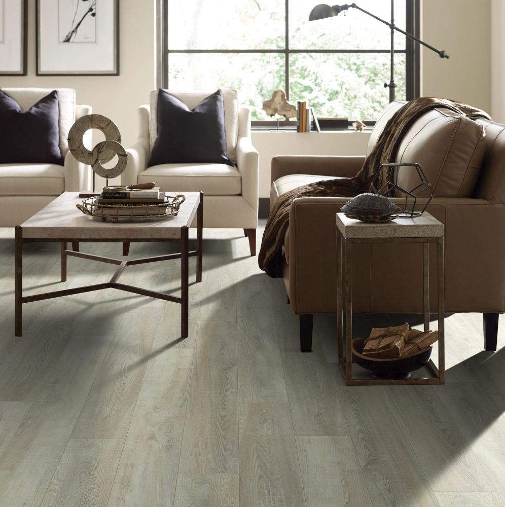 Shaw Floors Resilient Residential Pantheon HD Plus Tufo 00589_2001V