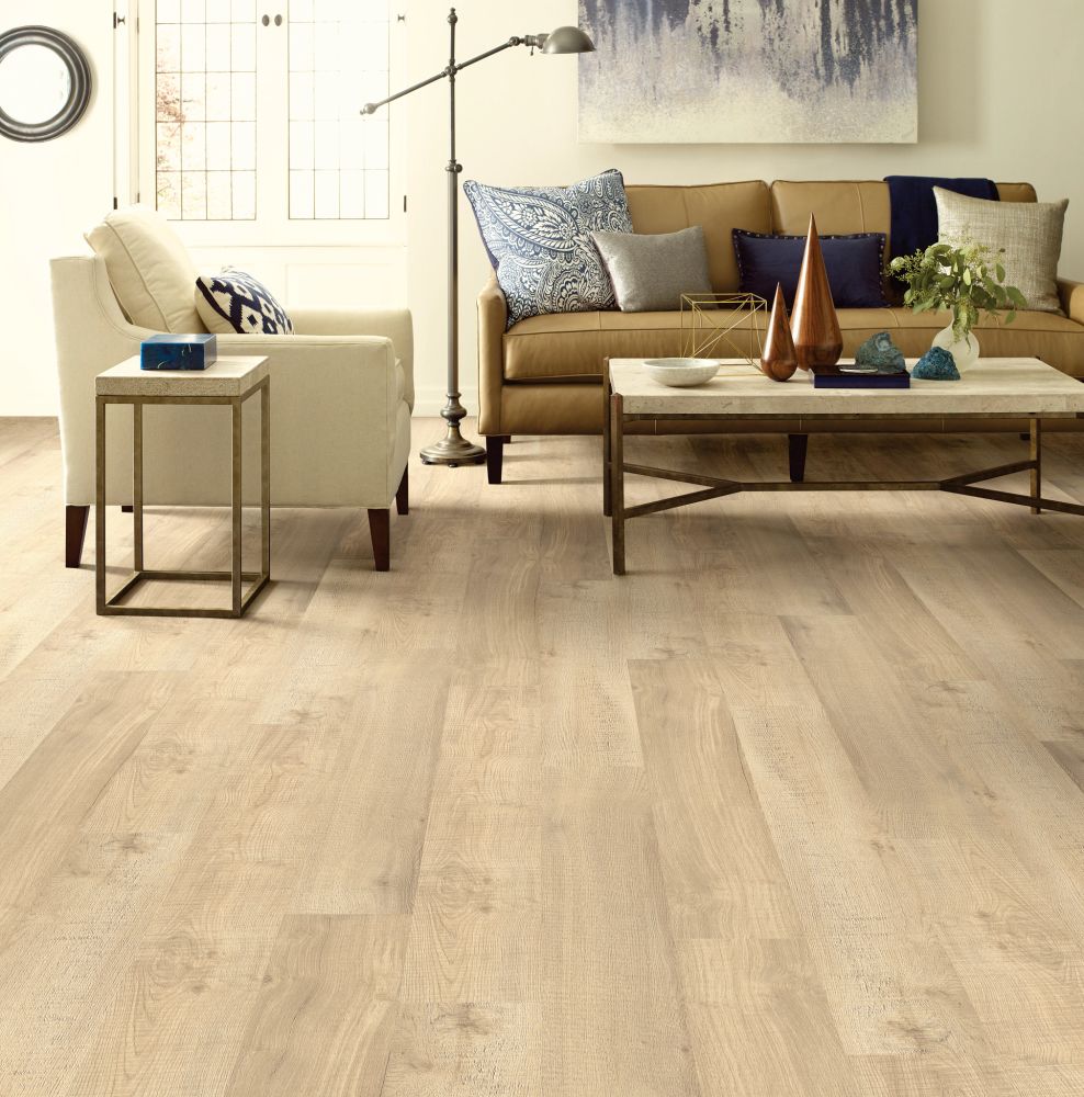Shaw Floors Resilient Residential Prodigy Hdr Plus Nomad 01066_2038V
