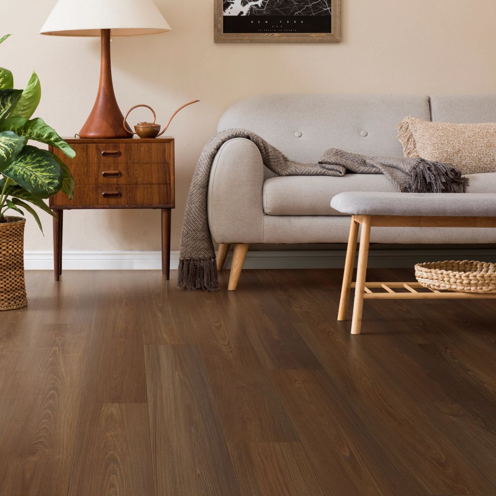 Shaw Floors Resilient Residential Prodigy Hdr Mxl Plus Sable 06010_2039V