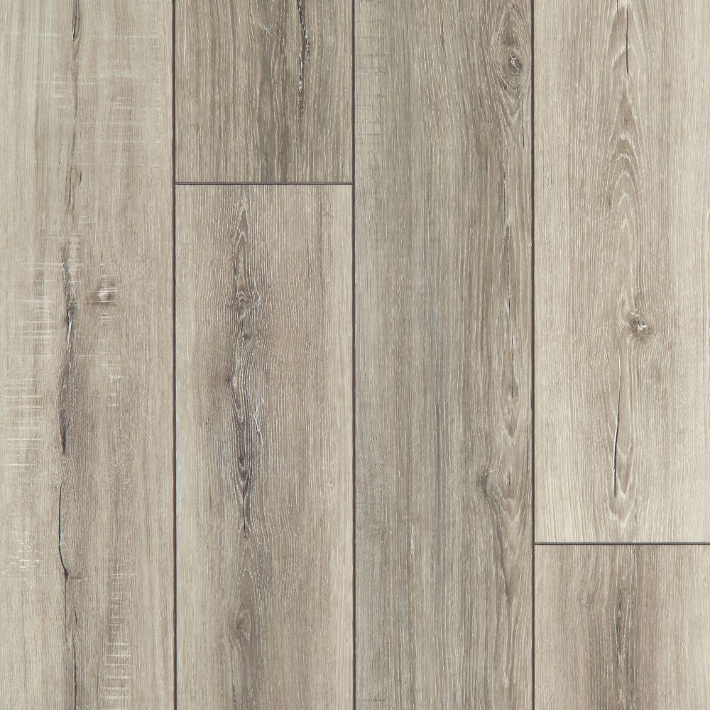 Shaw Floors Resilient Residential Tenacious Hd+ Accent Basillica 07085_3011V