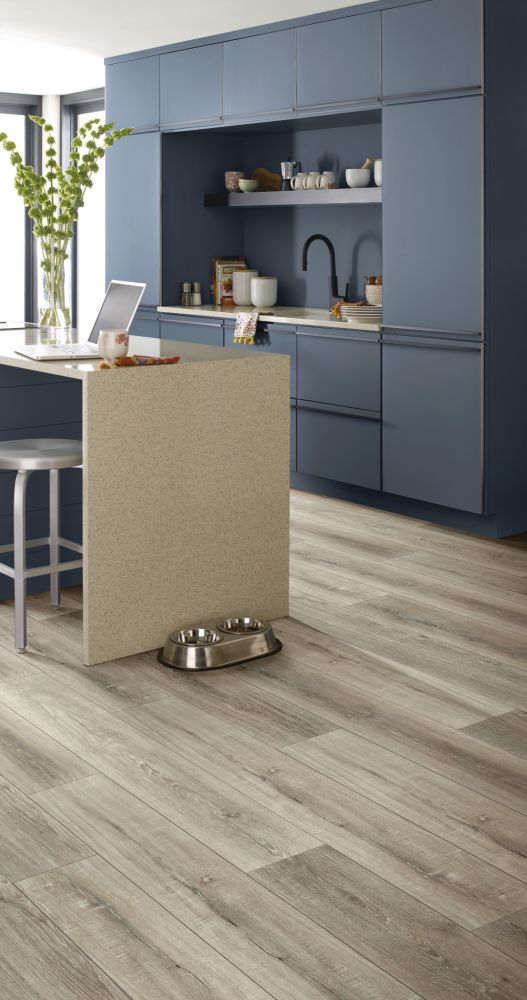 Shaw Floors Resilient Residential Tenacious Hd+ Accent Basillica 07085_3011V