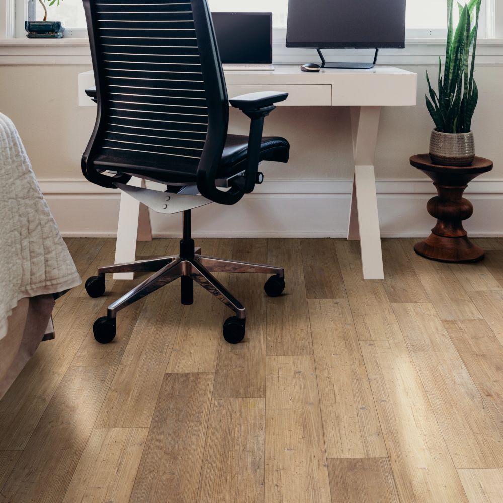 Shaw Floors Resilient Residential Paladin Plus Touch Pine 00690_0278V