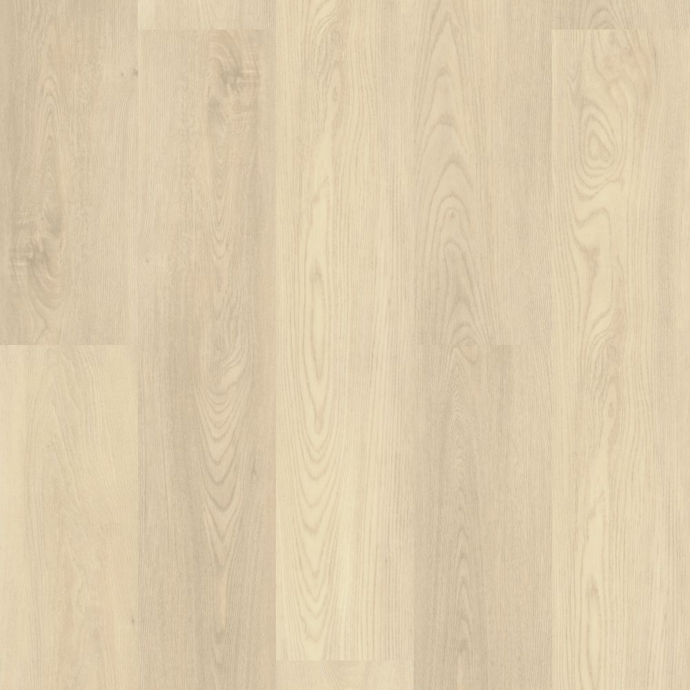 Shaw Floors Resilient Residential Gm100 Silver Dollar 01055_GM100