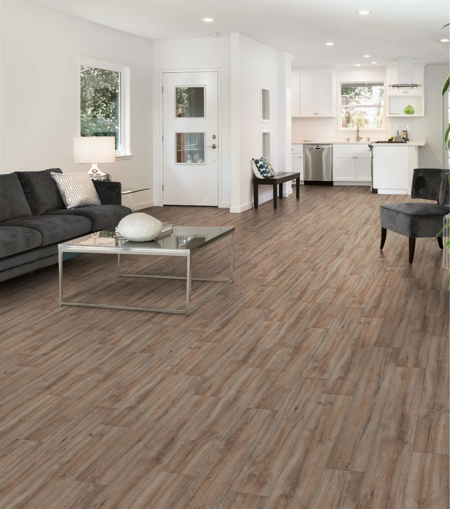 Shaw Floors Resilient Residential Artemis Athens 07004_3037V