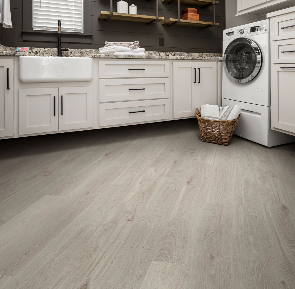 Shaw Floors Resilient Residential Praxis Plank Guild 05138_3039V