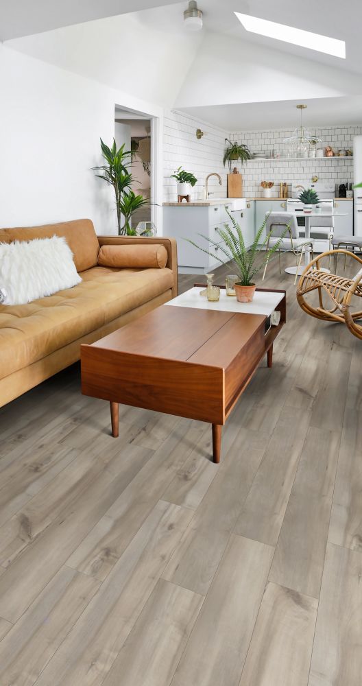 Shaw Floors Resilient Residential Paladin Plus Sea Glass 05092_0278V
