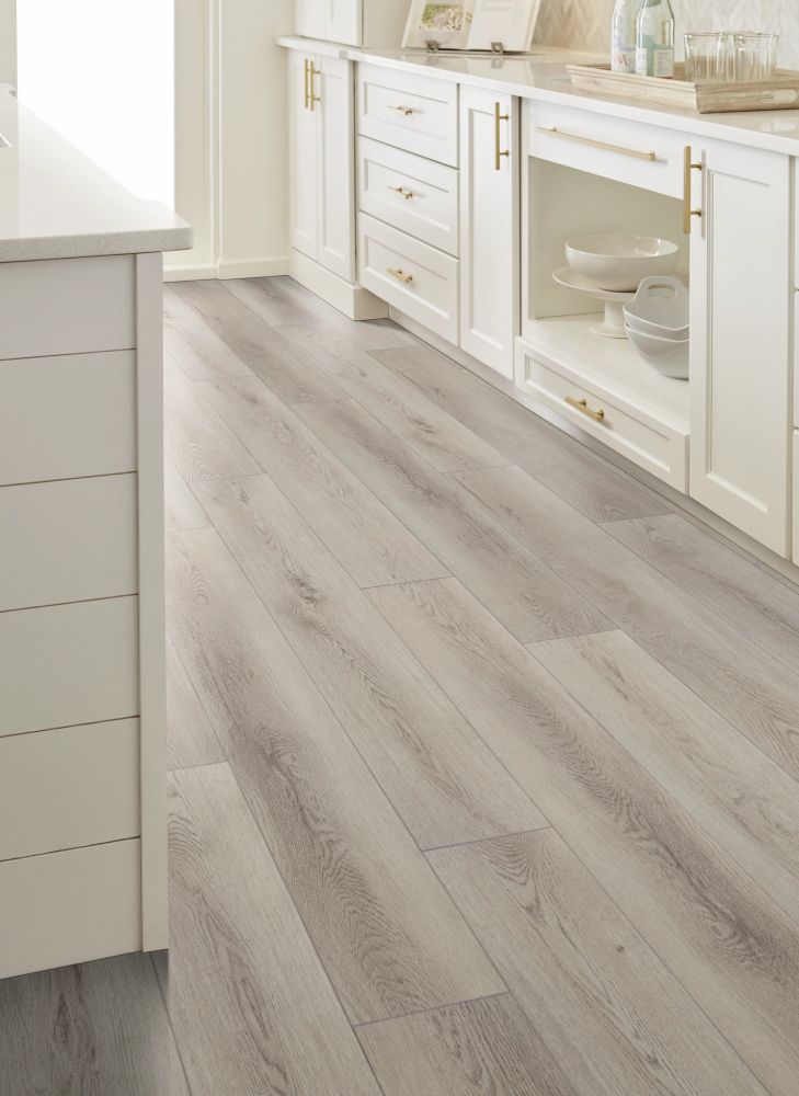 Shaw Floors Resilient Residential Paladin Plus Warm Grey 05220_0278V