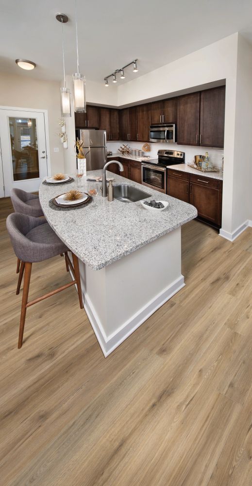Shaw Floors Resilient Residential Paladin Plus Wild Dunes 07089_0278V