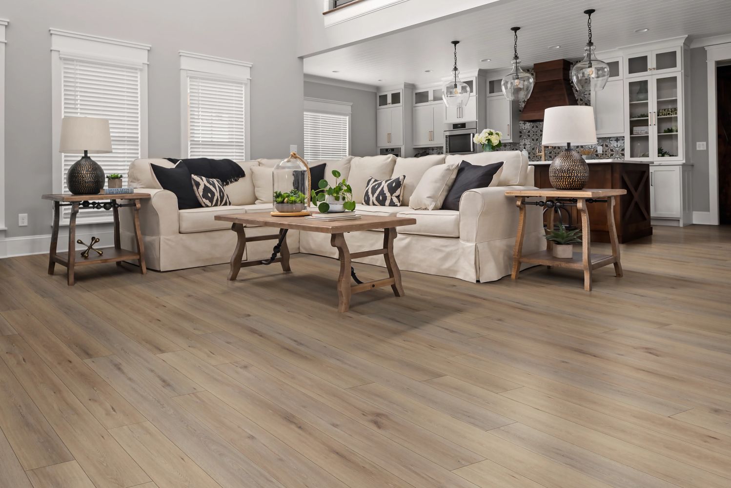 Shaw Floors Resilient Residential Paladin Plus Wild Dunes 07089_0278V