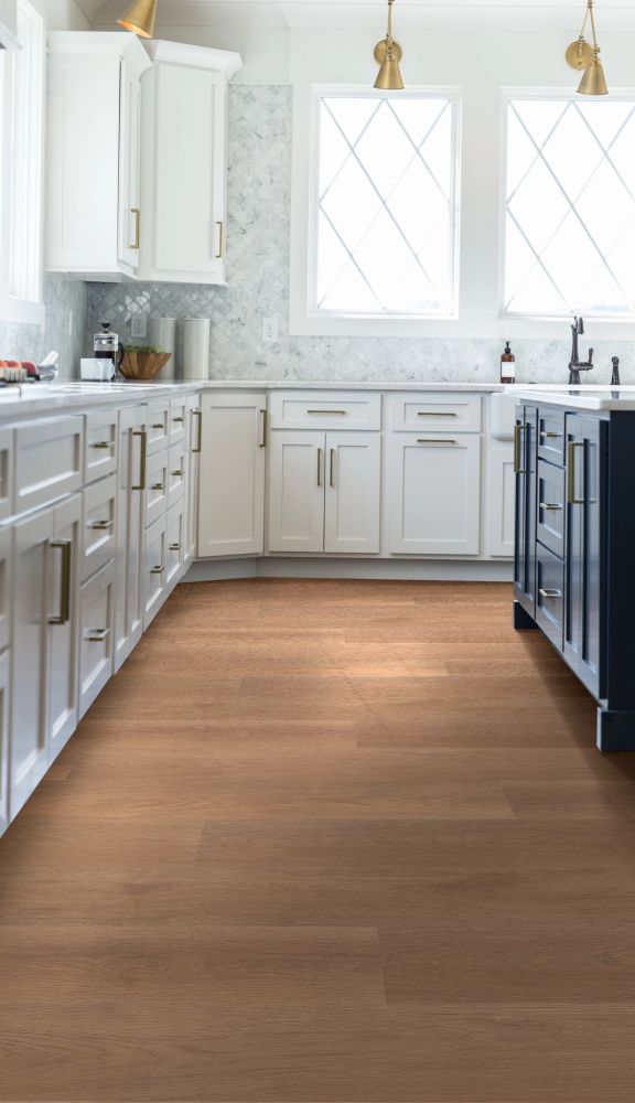 Shaw Floors Resilient Residential Ascent Nb Legend 06030_2832V