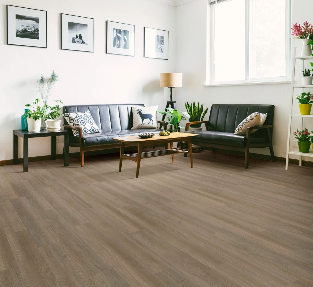Shaw Floors Resilient Residential Infinite SPC Raconteur 07195_3100V