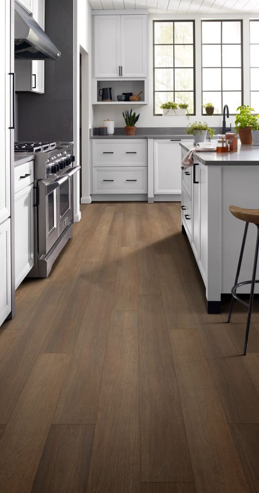Shaw Floors Resilient Residential Paragon Hd+natural Bevel Gable 07239_3038V