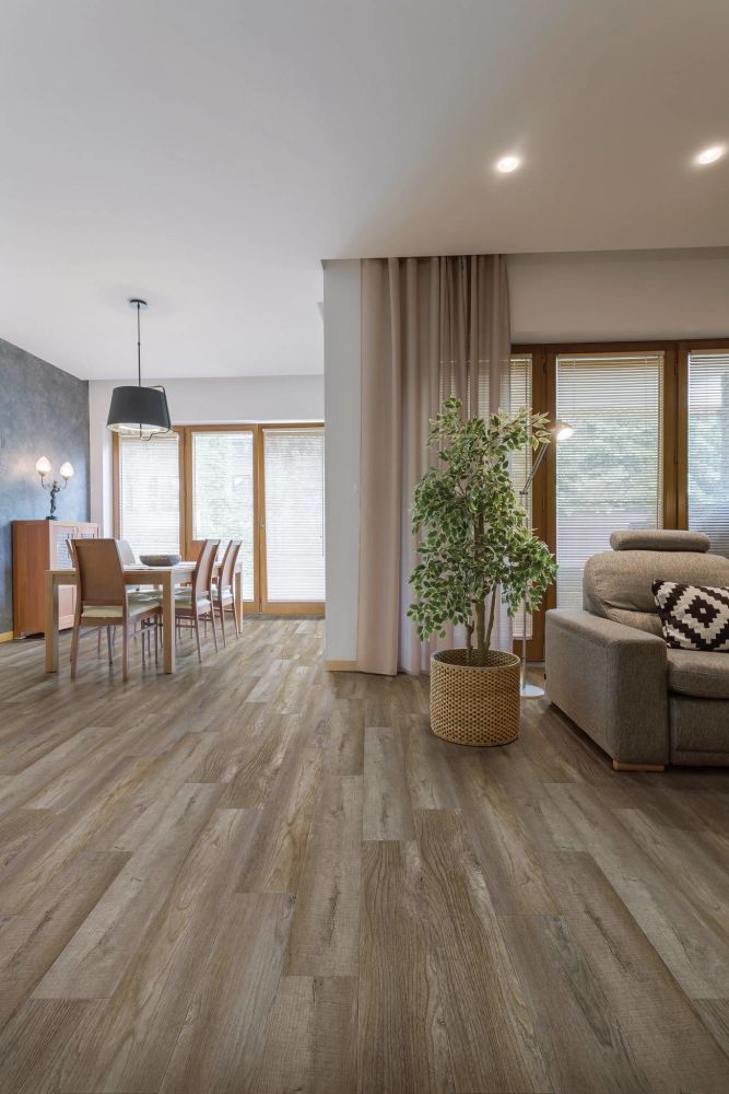 Shaw Floors Resilient Residential Sfn Hearthscapes Enhanced Plan Pelican Oak 04072_VV010