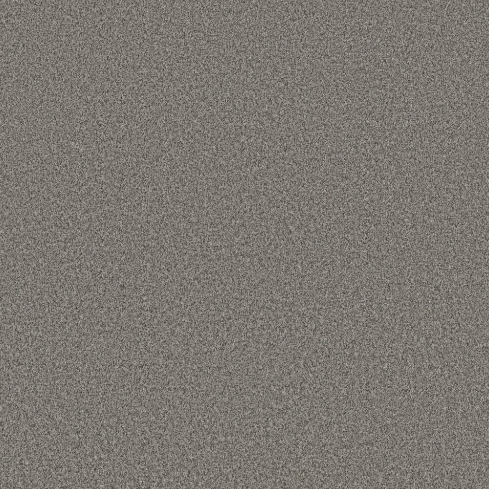 Perfect Home Style Statements Bright Light Flannel Gray 304CP-554