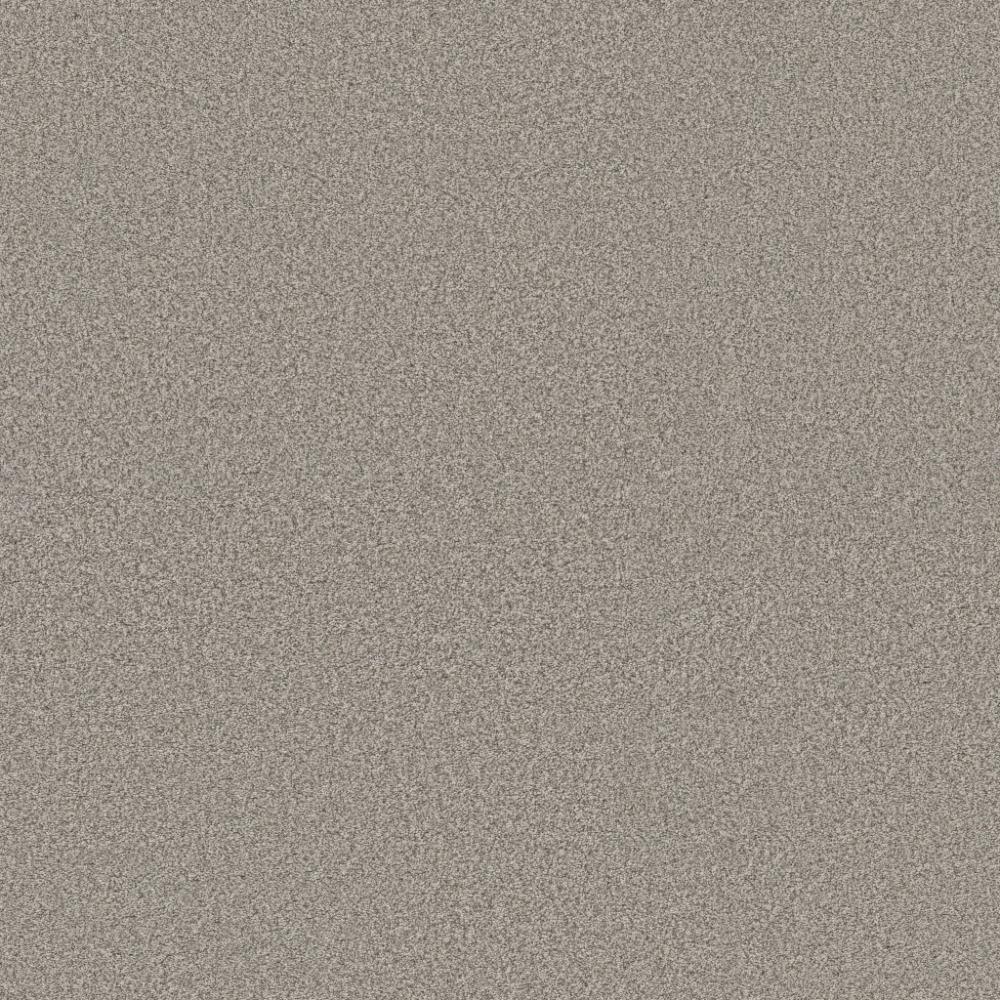 Perfect Home Style Statements Sashay Moth Gray 305CP-551