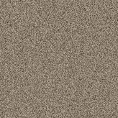 Perfect Home Daring Move Wet Sand 7P0VC-120