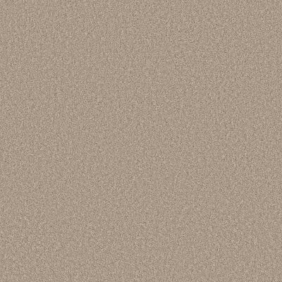 Perfect Home Daring Move Sheer Beige 7P0VC-144