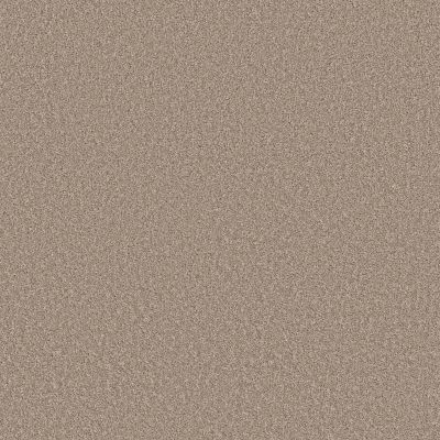 Perfect Home Daring Move Camel 7P0VC-146