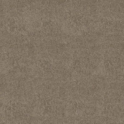 Perfect Home Daring Move Golden Tint 7P0VC-230