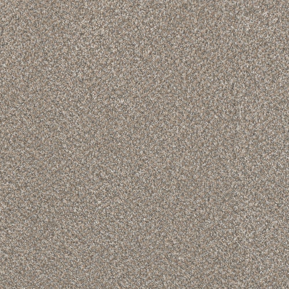 Perfect Home Timeless Trends II Burnished CP911-2499