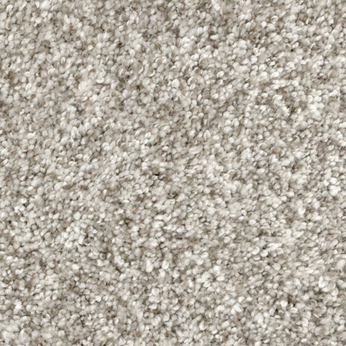 Carpet | Marquis Soho Dove Feather | Flooring Liquidators