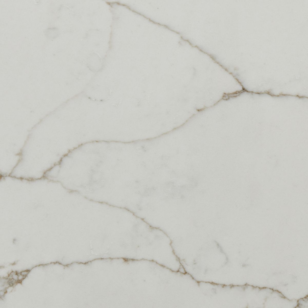 Calacatta Prado 3 Cm Polished