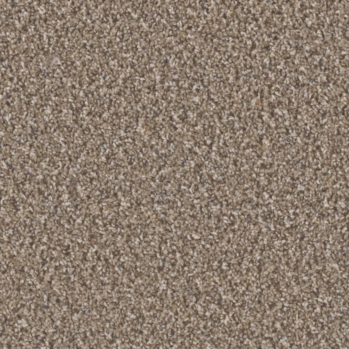 Carpet | Dreamweaver Texture Toast Of The Town Marble Heights ...