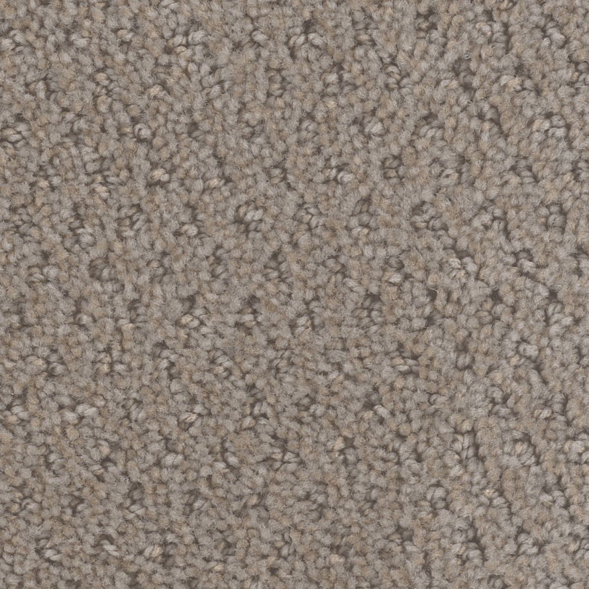 Carpet | Dreamweaver Deere Run Wood Grain | Flooring Liquidators