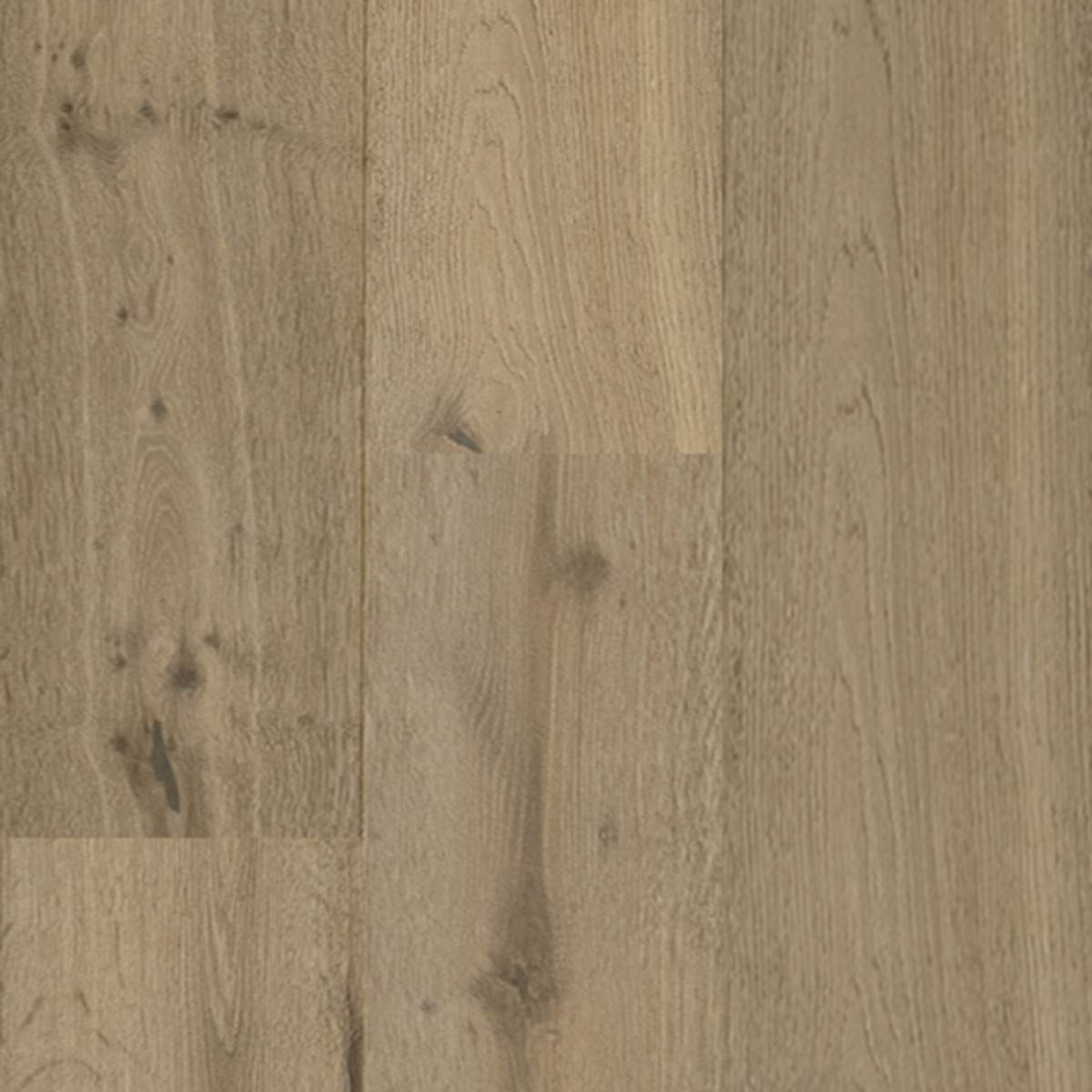 Hardwood D M Flooring Royal Oak Designer Safari Tan Flooring Liquidators