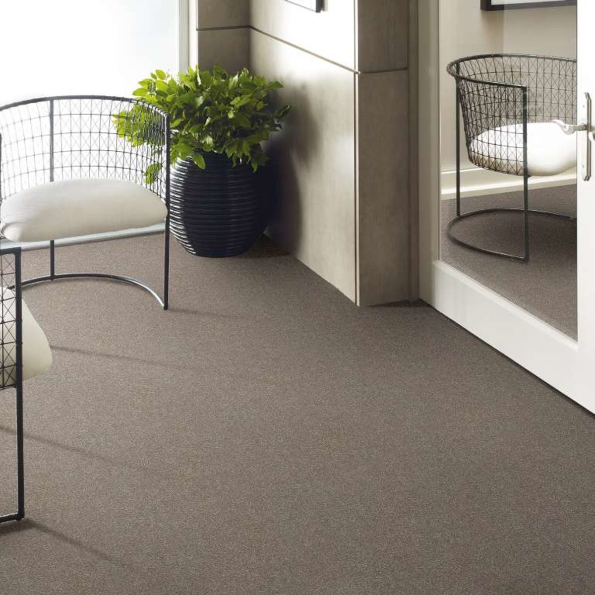 Carpet Shaw Texture Solid Choice Smooth Taupe Flooring Liquidators
