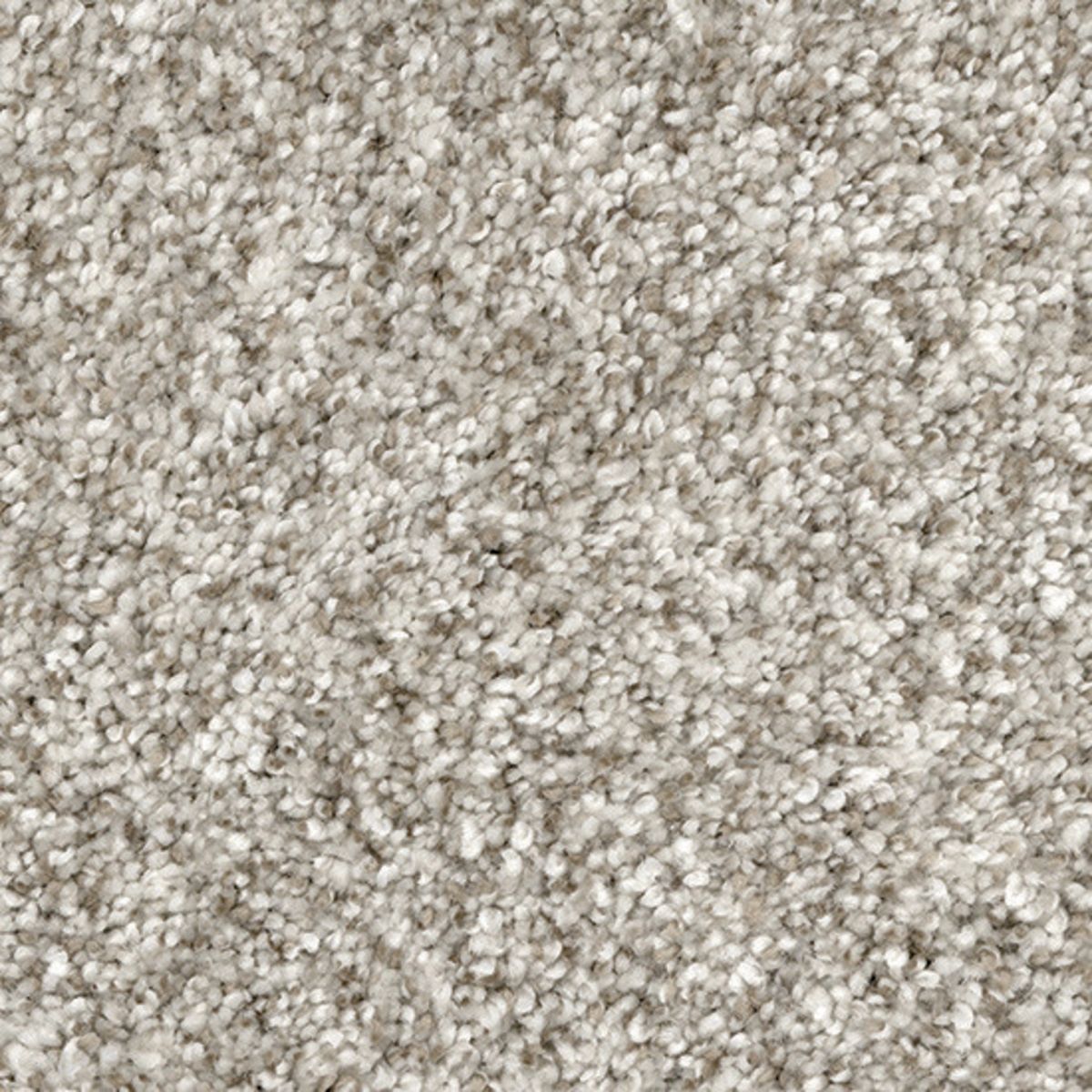 Carpet | Marquis Ultra Soft Level Loop Soho Dove Feather | Flooring