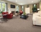 Mohawk Everstrand Soft Appeal Softly Elegant I Brazilian Coffee