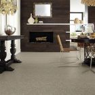 Shaw Floors Everlasting Tonal Owl