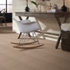 Shaw Floors SFA Danger Zone Champagne Sparkle