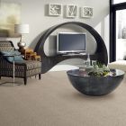 Shaw Floors Foundations Take The Floor Accent Blue Luna