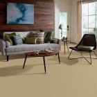 Shaw Floors Roll Special Xv304 Crumpet
