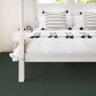 Shaw Floors All Star Weekend II 15' Going Green