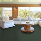 Shaw Floors All Star Weekend II 15' Going Green